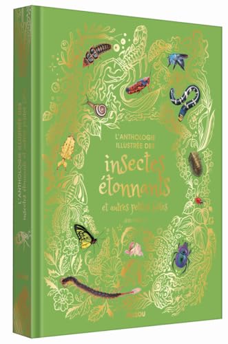 L'ANTHOLOGIE ILLUSTRÉE DES INSECTES ÉTONNANTS ET AUTRES PETITES BÊTES